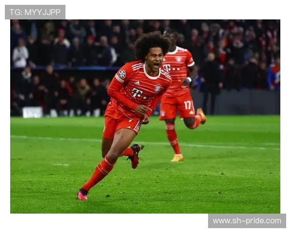 本菲卡崛起之路探秘欧洲足坛新贵的辉煌与挑战