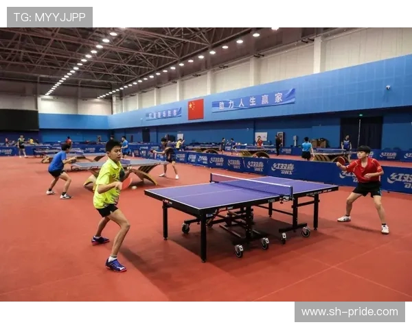 南京乒乓球队选拔赛特别报道见证成长与拼搏的动人故事 南京乒乓球队选拔赛特别报道见证成长与拼搏的动人故事