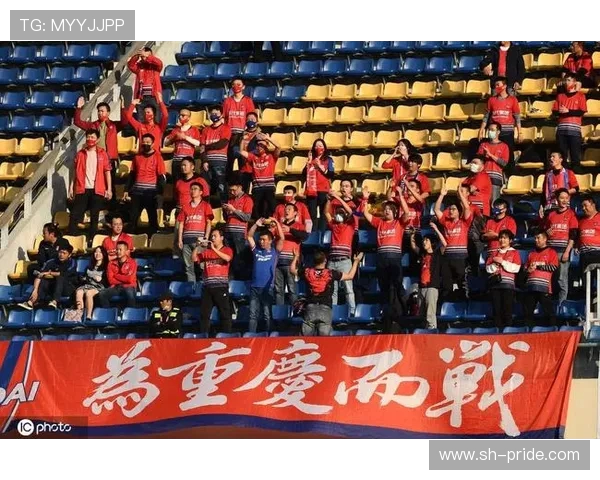 重庆排球队的逆袭之旅：从低谷到巅峰的奋斗与荣耀