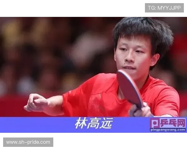 乒乓球技术革新与全球竞技发展趋势的深度分析与展望
