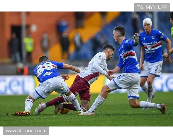 坎布尔与海尔蒙特的精彩对决结果揭晓，比赛亮点回顾与分析